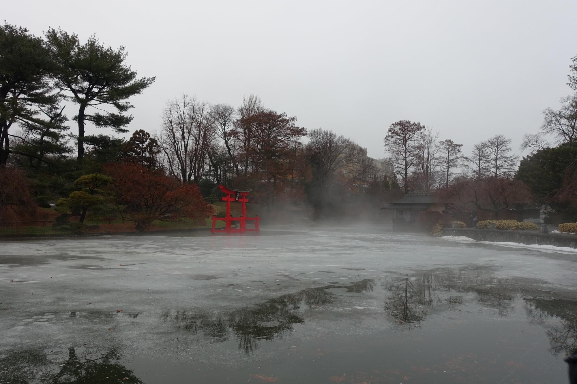 Japanese garden